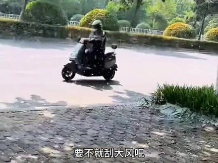 杨絮满天飞,换树种吧