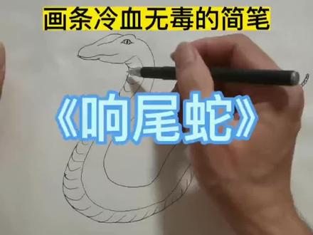 画条冷血无毒的简笔《响尾蛇》#画画 #手绘 #艺术 #简笔画 #绘画🎨