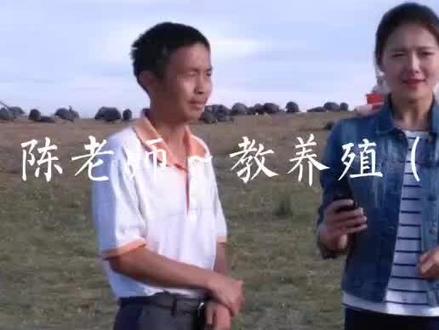 @养殖有风险投资需谨慎(技术、销售先了解)#教养殖技术 #助力养殖创业 #智慧养殖 #振兴乡村 #善待动物关爱