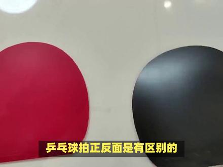 乒乓球拍正反面大不同,你知道都有哪些不同吗?#乒乓球拍 #知识前沿派对