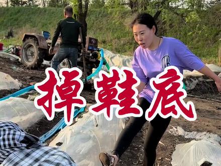 经过几天的努力终于让香瓜喝饱水了,希望大丰收!#三农 #记录美好生活 #记录农村人的真实生活