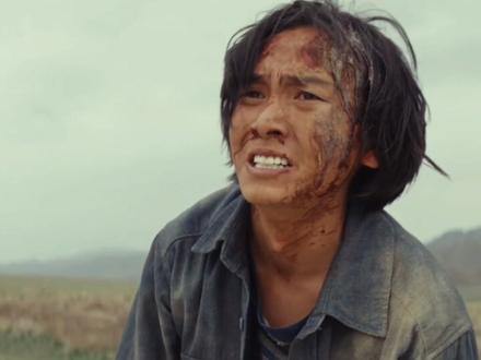 张扬和白菊被报复出车祸邵云飞赶来医院张扬当场就没了#生命树 #杨紫