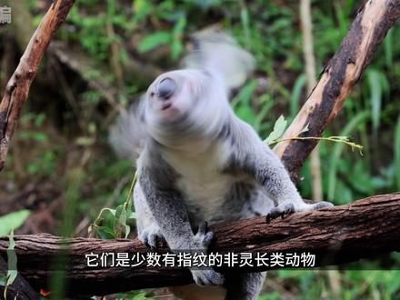 世界之大无奇不有,我是奇趣小编#科普#知识#冷知识#每天带你涨知识#世界之大无奇不有