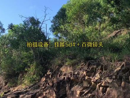 【附参数】香水外景拍摄 #摄影教学 #摄影培训 #商业摄影 #摄影技巧 #产品拍摄