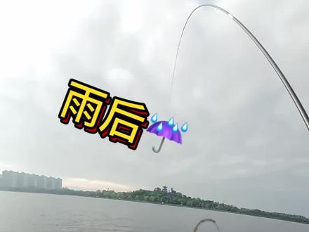 邪修钓鱼之营养快线开饵🎣#抖音钓鱼人 #野钓爆护 #野钓的乐趣 #野钓鲫鱼 #化氏钓具