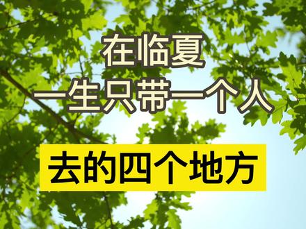 在临夏一生只带一个人去的四个地方。#一生只带一个人去的地方 #临夏