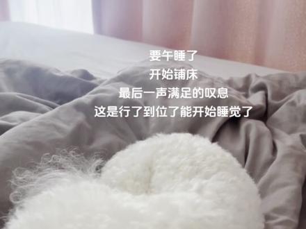 是所有小狗睡觉前都要铺床吗
#小狗睡前仪式 #比熊