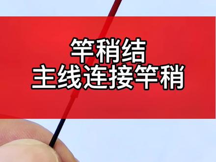 竿稍结打法,主线连接竿稍方法#主线连接竿稍 #钓鱼技巧 #dou来学钓鱼