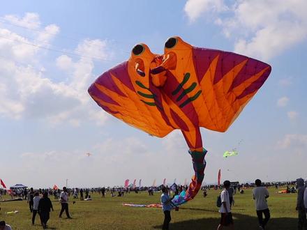 《巨物爱好者的浪漫一天》 前几日与知名美少女博主忙里偷闲去了一趟风筝节,场面比较非理性,让人神魂颠倒 #fun飞潍坊