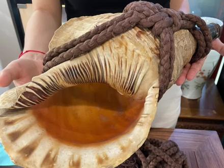 大连遇见—大美女、大法螺#藏传文玩 #喜马拉雅艺术 #知识分享 @原宝堂 @是安琪呀🌞