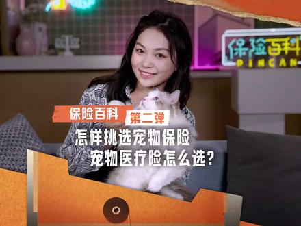 毛孩子看病少花钱!宠物医疗险挑选有妙招~
#保险百科#宠物医疗险#毛孩子#铲屎官#萌宠
买保险,简单点!