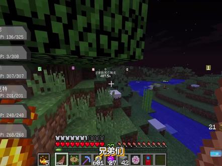 神奇宝贝生存21:成功获得伊裴尔塔尔,并打败大针蜂boss!