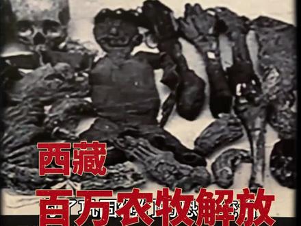 来拉萨一定要来看这个博物馆 真的建议去布达拉宫前先去看看西藏博物馆#百万农奴解放纪念馆 #西藏旅行 #历史 #拉萨攻略 #必打卡博物馆