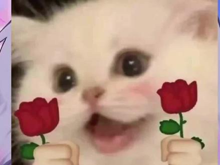 嘉丝:又省300。王牌飞行员在,打在!好关不怕等(先给我回关,很急😭)#花小龙#自律遇见更好的自己 @花小龙