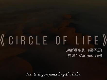 第一声宏亮的非洲男声划破寂静、奥斯卡金曲《Circle of Life》 #大自然 #奥斯卡金曲