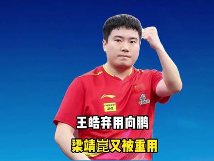 8日晚间世乒赛:梁靖崑又被重用,王皓弃用向鹏,这波看不懂了! #梁靖崑 #王皓 #向鹏