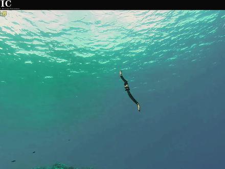 海陆两栖动物 #海底世界 #自然奇境科普季#夏梦逐浪