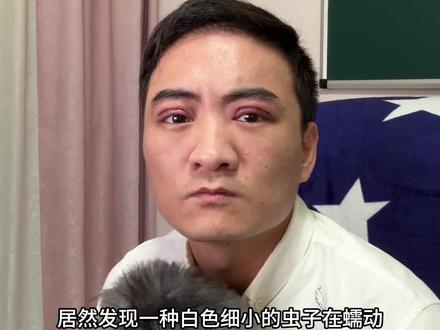 宠物眼线虫,该怎么防治。#猫咪 #狗狗 #兽医