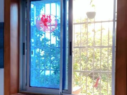 第二集|低成本改造老式窗户。窗框后期准备刷漆,但是很纠结用什么颜色,想收集下大家的建议呀。#卧室改造 #老房改造 #卧室布置