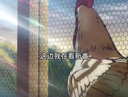 卖鸡小子你这家伙#公鸡斗士 #jojo的奇妙冒险 #阿布嘟嘟