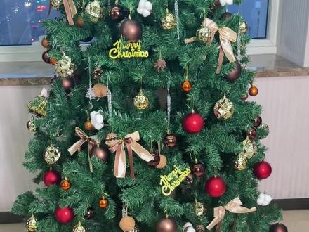 听说路边圣诞树下会长出神秘礼物 #小马宝莉 #小马宝莉日历 #圣诞礼物 #新年礼物 #日历