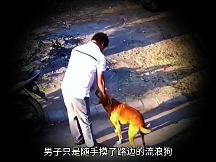 孩子看见要远离的动物,你都知道吗? #科普 #育儿 #涨知识 #危险动作请勿模仿 #危险瞬间