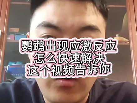 应激反应 鹦鹉出现应激反应不要觉得是小毛病了,要抓紧时间干预了!#鹦鹉 #鹦鹉小白 #鹦鹉日常