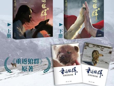【印签版】重返狼群 三环出版社 正版 赠亦风李微漪拍摄格林影 #重返狼群 #格林 #纪录片 #李微漪 #李微漪和格林的故事 @DOU+上热门 @DOU+小助手