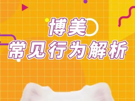 博美这6个行为,很多人都不懂!#博美知识百科 #狗狗是人类最好的朋友 #萌宠出道计划 #神奇动物在抖音 #可爱到爆炸💥