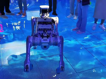 台湾时事评论员郭正亮分享的一段视频,很能说明问题。我把今年大陆春晚上#春晚 #机器人