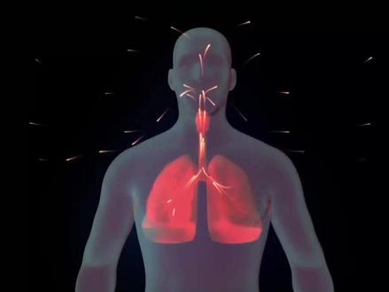 肺癌细胞常向这4个部位转移#肺癌 #肺腺癌 #肺结节 #肺癌患者 #肺癌晚期 #硬核健康科普行动