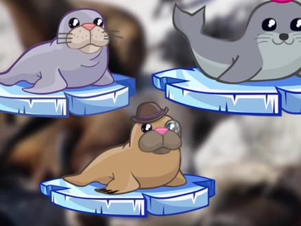 教你如何一秒区分海狮,海豹和海狗~ #海狮 #动物科普知识 @抖音小助手