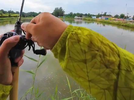 路亚钓鱼远投水滴轮搭配微物路亚竿弹射抛投启动性测试湛道612ULK竿长1.83阿瑞斯PRO+1.5PE线#路亚钓鱼 #路亚新手入门教程 #溪流弹射技巧