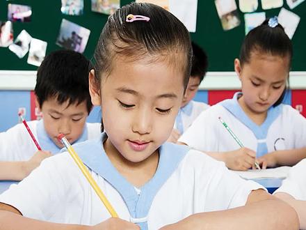 保护动物手抄报,图片文字大集合,保护动物,就是保护我们自己#保护动物 #手抄报 #动物 #环境 #抖音