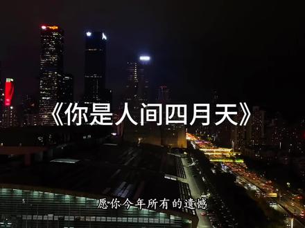 是好 是坏 这一年也结束了 祝我们2026都幸福#跨年 #2026一定好运来 #烟花🎆 #音乐分享