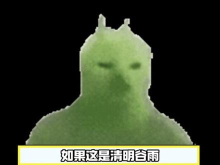 清明谷雨我对你的权威后知后觉#小潭山没有天文台 #沈宗年 #谭又明 #清明谷雨 #沈谭