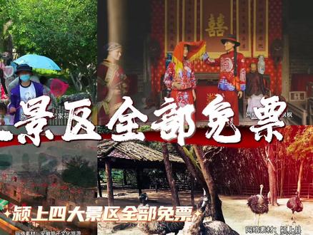 颍上文旅就是听劝,游三走过的路请你免费再走一遍,11日至31日四大景区全部免门票,错过拍大腿,还不赶紧来颍上过大年#颍上 #旅游 #游三 #过大年 #颍上文旅