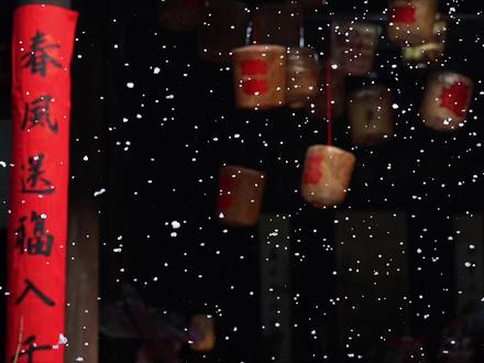 汉服群像过中国年,就应该这样热热闹闹的! #过年 #汉服群像 #中国年