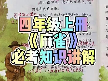 四年级上册必考课内阅读《麻雀》课文讲解#手写笔记#小学语文@DOU+小助手