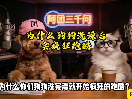 为什么狗狗洗澡后会疯狂跑酷 圣神的仪式#狗狗 #萌宠 #萌宠出道计划