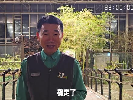姜爷爷说今天会让乐宝见到爱宝的,三胎计划稳步进行#大熊猫爱宝 #大熊猫乐宝 #姜爷爷