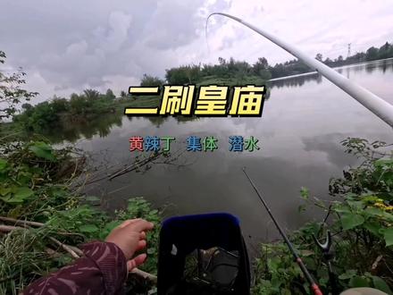 二刷璧山皇庙水库,黄辣丁集体潜水 #户外钓鱼 #原来钓鱼才是抖音运动顶流 #钓鱼人就是这么疯狂 #dou上热门