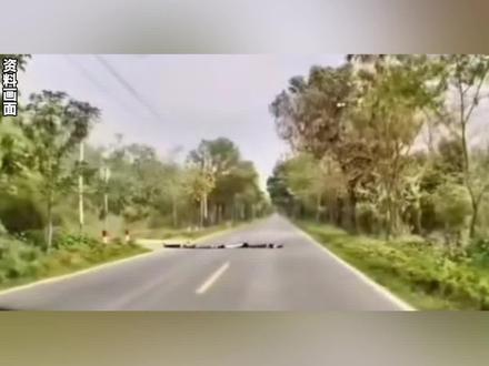 4个孩子路中躺一排cos减速带,智驾识别到障碍减速,司机紧急刹车惊出一身冷汗。#带孩子 #安全提醒 #教育