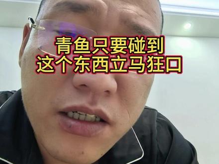 青鱼只要碰到这个东西就会立马狂口! #钓青鱼 #青鱼开口药 #青鱼小药