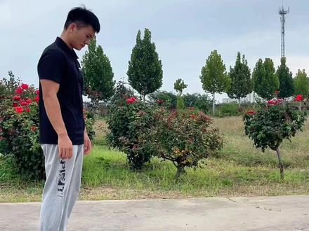 倒立邪修,万事开头难,贪多嚼不烂!😀#倒立 #倒立教学 #干货