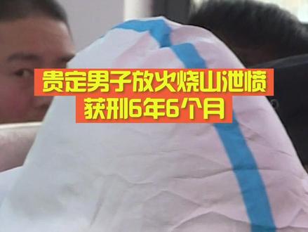 放火烧山,后悔莫及! #森林防火dou行动 #法庭