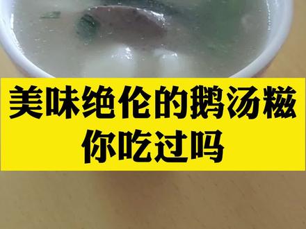 美味绝伦的客家鹅汤糍糯米丸子汤#鹅汤 @抖音小助手 #老鹅汤