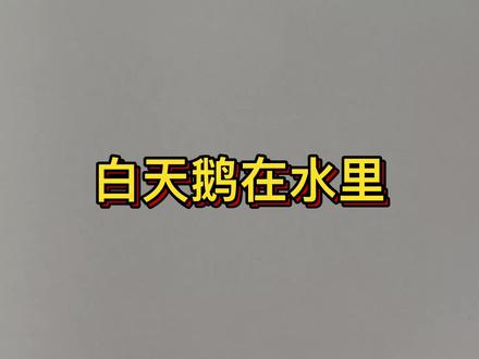 美丽的白天鹅在水里游泳。 #简笔画 #创意简笔画 #简笔画教程 #儿童简笔画 #一起学画画 #想画就画 #奇妙的动物 #幼儿简笔画 #绘画 #可爱