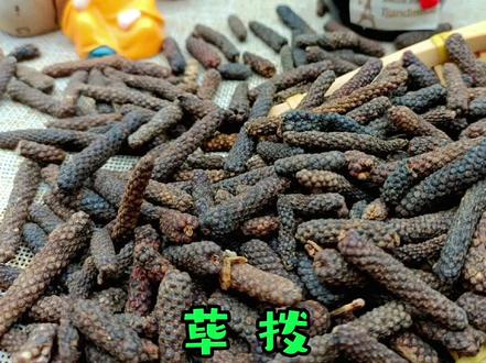 荜拨在卤水中的作用#极香极味#荜拨#卤水