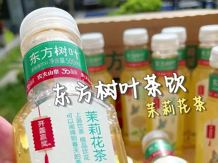 这真是他们老爷们们夏天的快乐茶饮。#东方树叶 #茉莉花茶 #茶饮 #多喝水